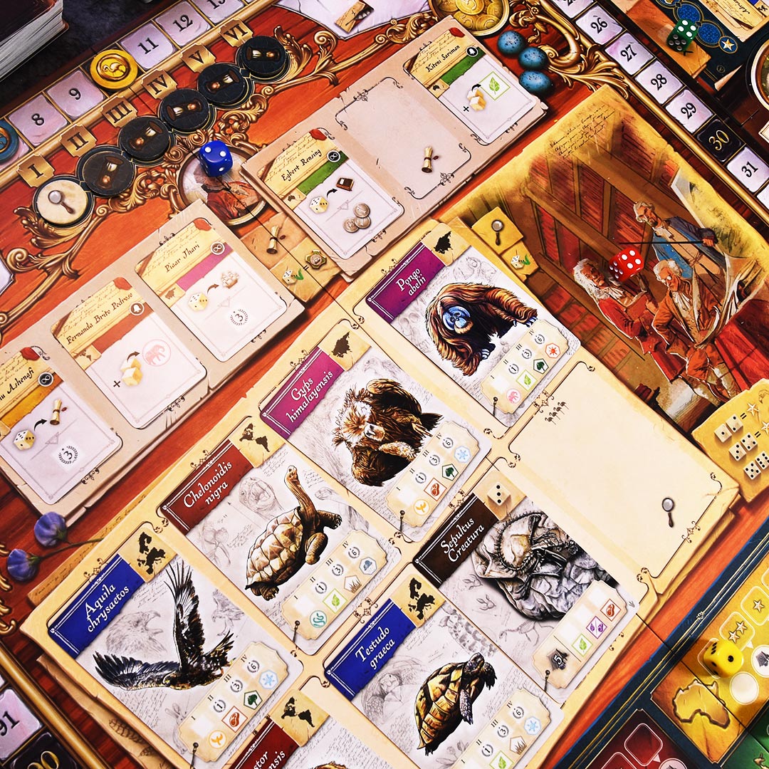 Encyclopedia - Limitierte Auflage inkl. Mini-Erweiterung